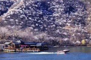 微信图片_20210317083545-300x197.jpg