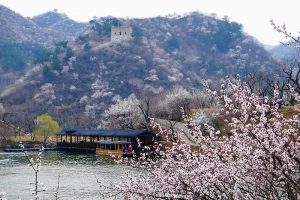 微信图片_20210317083604-300x200.jpg